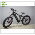 1000W Powerful Mountain Electric Bike with Full Suspension